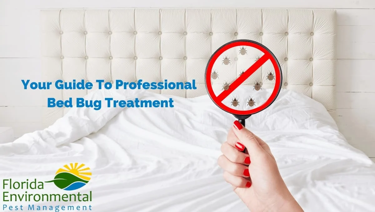 Bed Bug Treatment Riviera Beach: Why It Matters