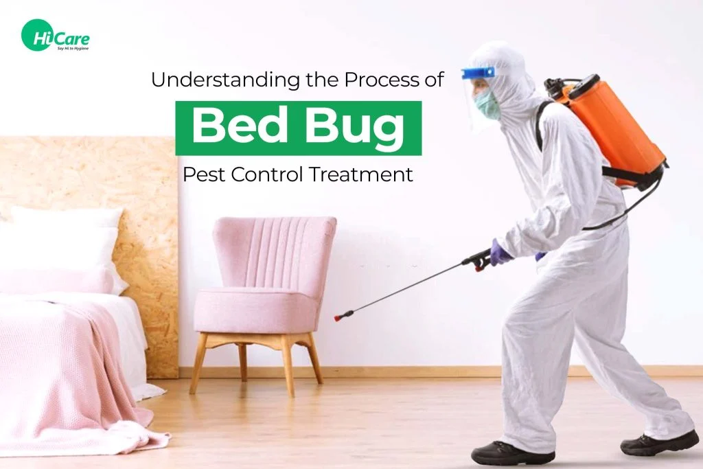 bed bug treatment Roswell: Understanding the Problem
