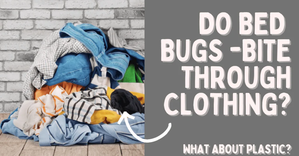 Can Bed Bugs Bite Through Clothes? The Short Answer