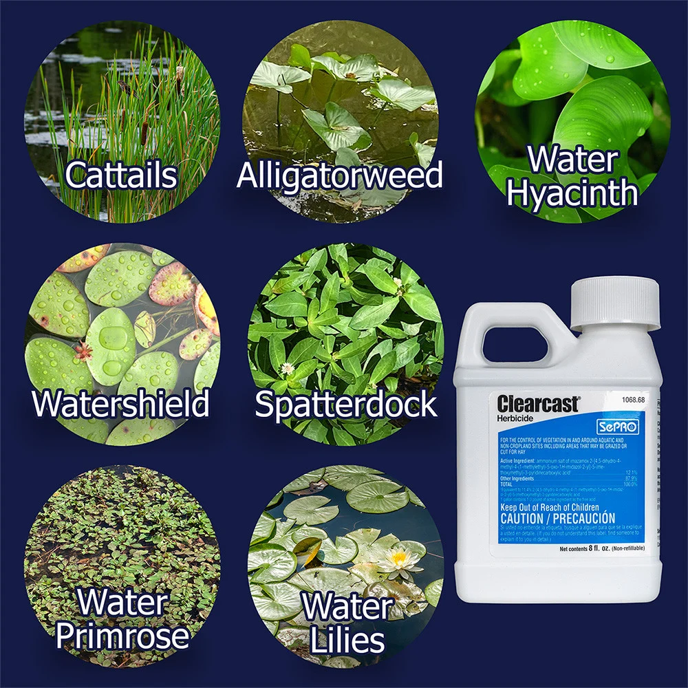 Chemical / Product Treatment Options for Wildlife Removal Bloomingdale