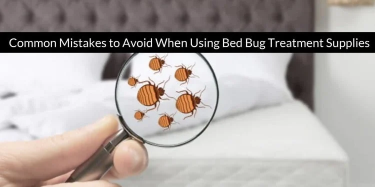 Common Mistakes Homeowners Make During Bed Bug Treatment Trinity