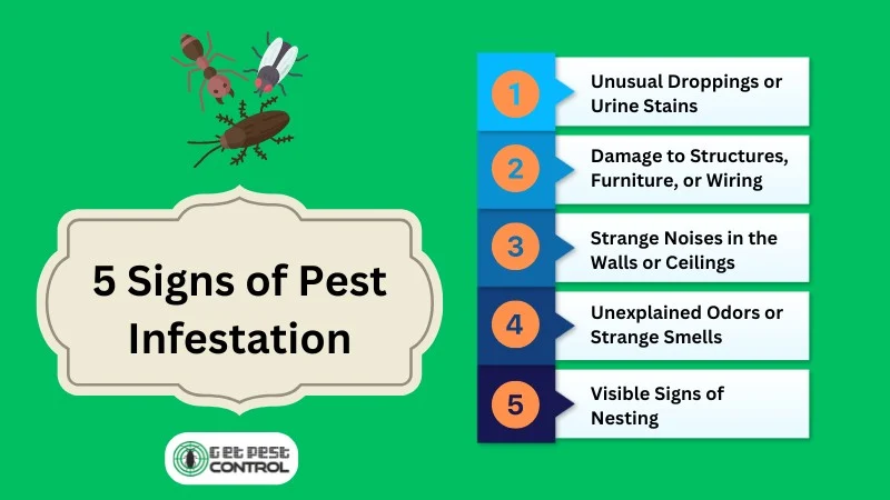Common Signs of a Pest Infestation in Smyrna Homes