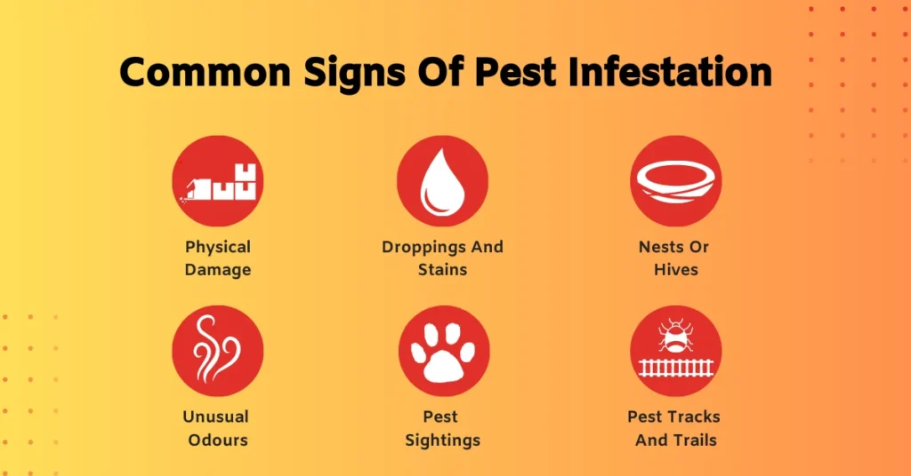 Common signs of infestation in Oakwood residences