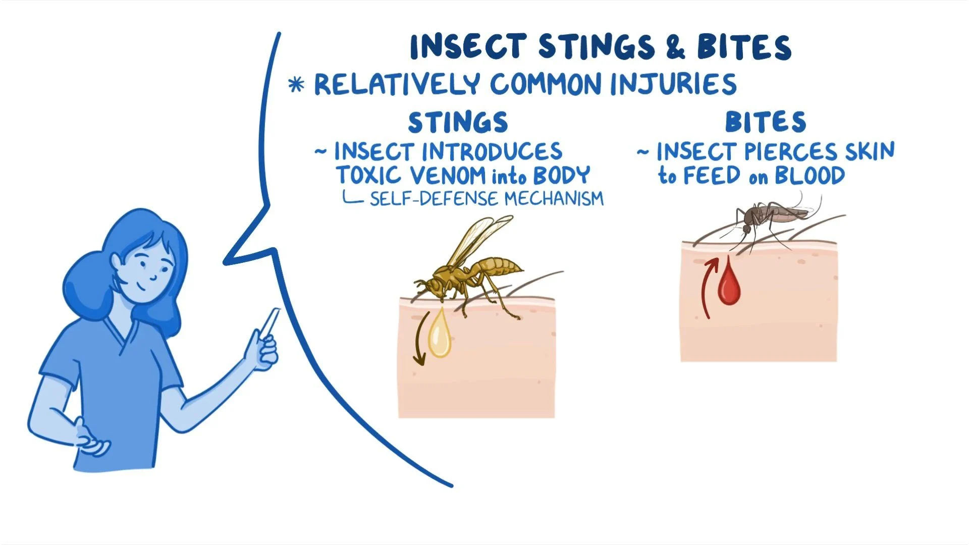 Do Bees Bite or Sting? The Science Behind Their Defense Mechanisms