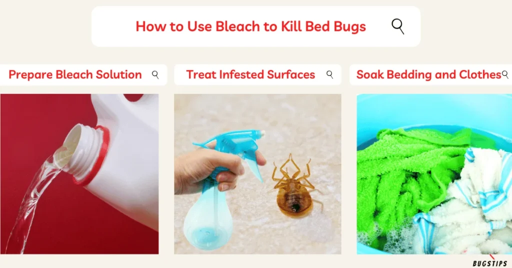 does bleach kill bed bugs? Understanding the Limits