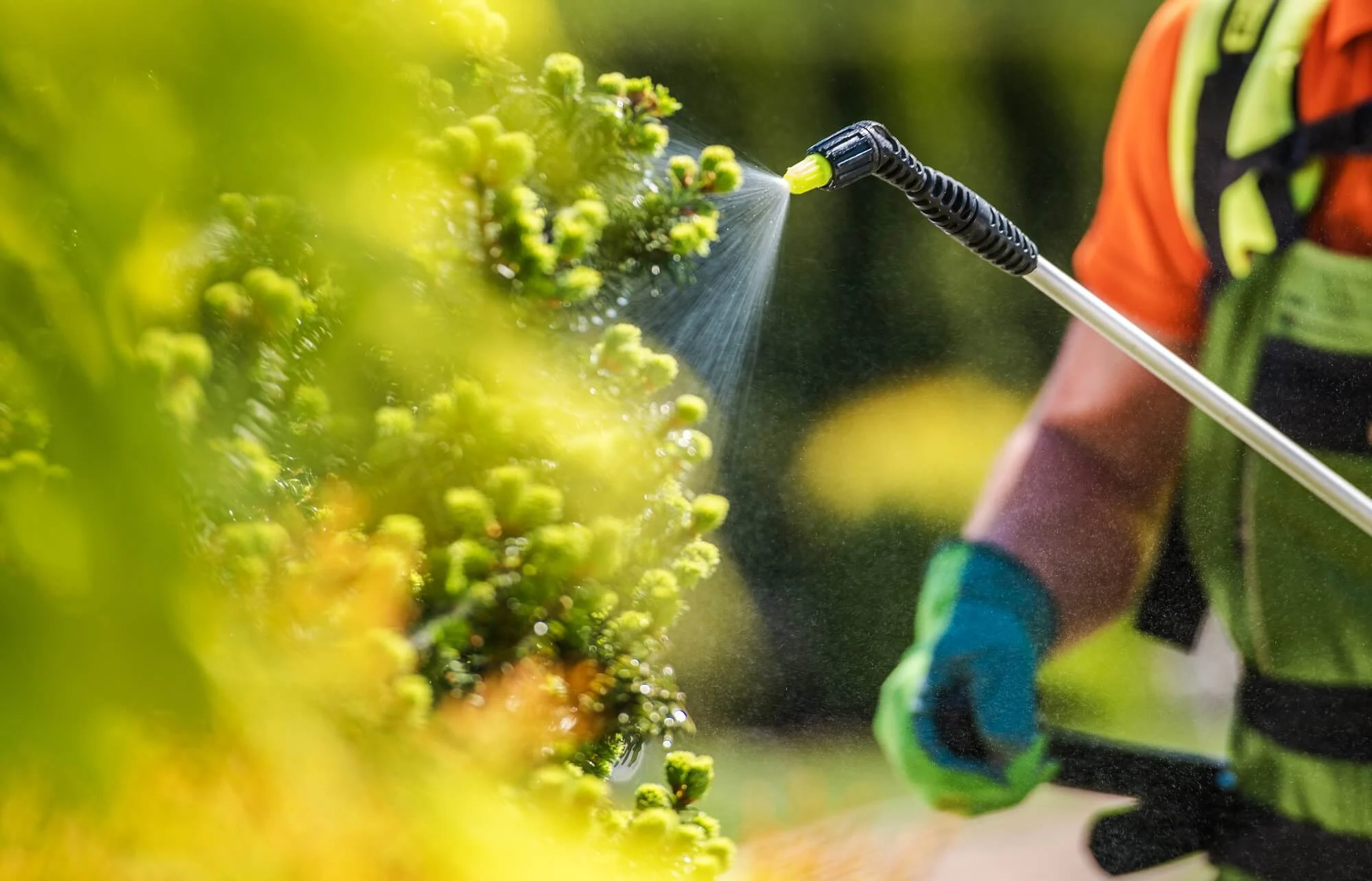 Effective pest control palm beach gardens: Why It Matters