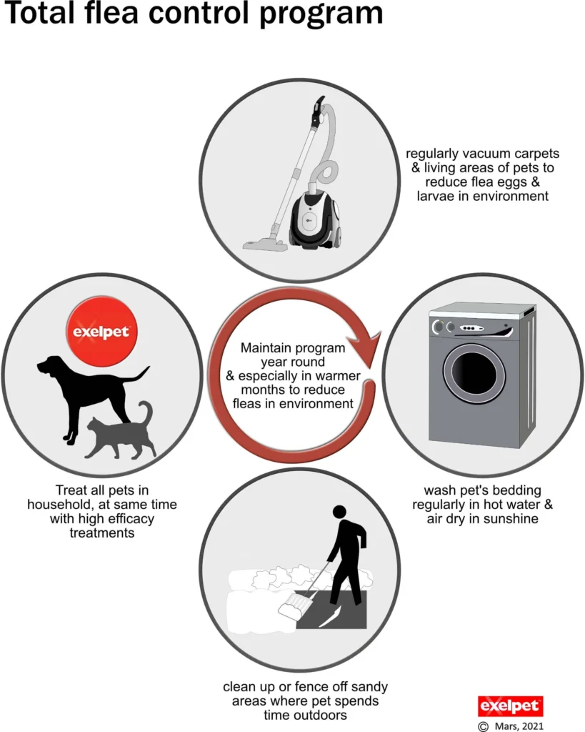 Environmental Controls: Reducing Flea Habitat