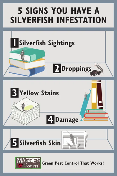 Five Signs of a Silverfish Infestation