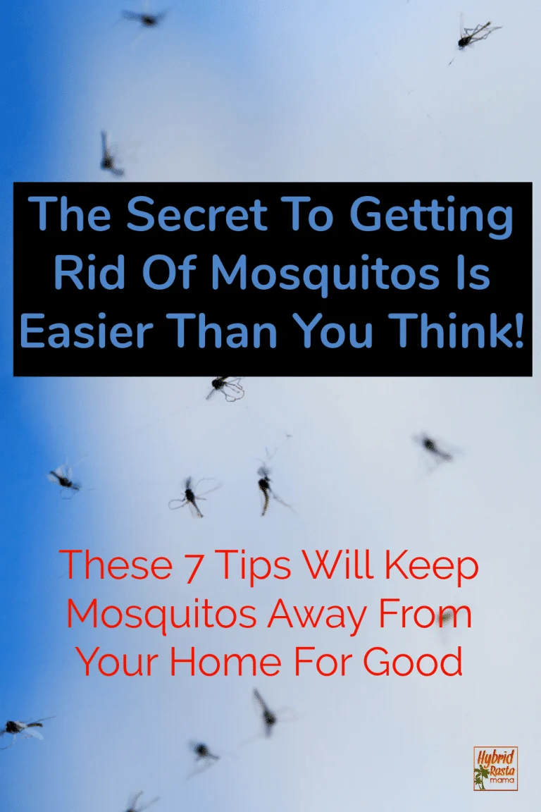 Getting Rid of Mosquitoes: A Comprehensive Guide