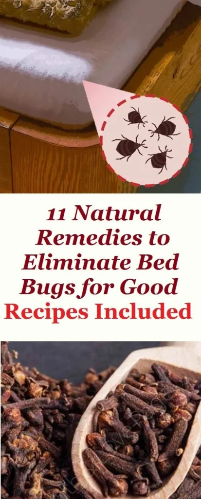 home remedies for bed bugs with vinegar: Natural Removal Methods