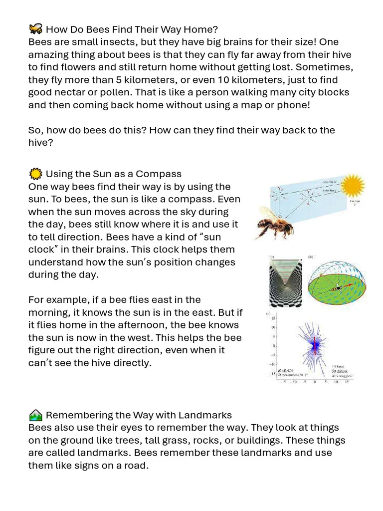 How Bees Find Their Way Into Your Home (And Why It Matters)