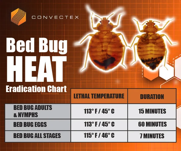 How Long to Dry Clothes to Kill Bed Bugs: The Science Behind the Heat