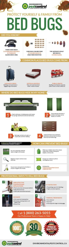 How Pest Control Get Rid of Bed Bugs: Treatment Options