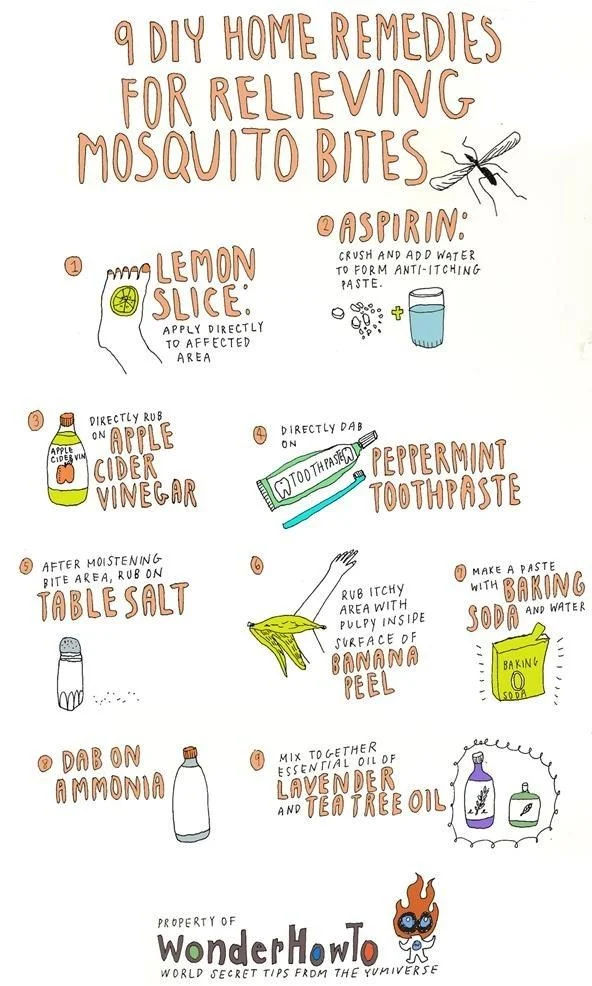 How to Get a Mosquito Bite to Stop Itching: Understanding the Reaction