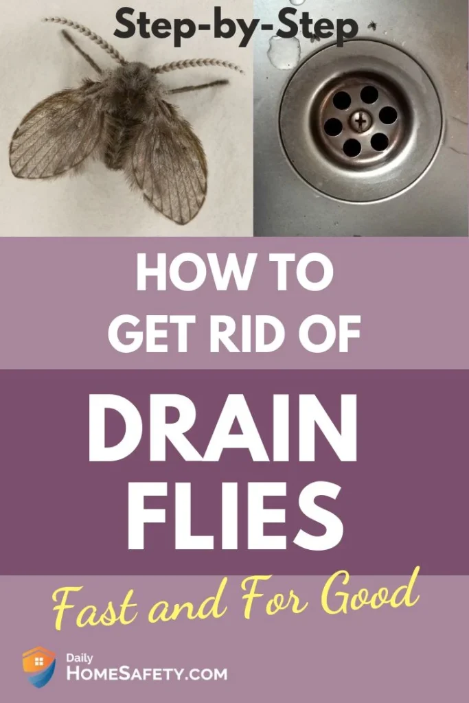 how to get rid of drain flies: Understanding the Problem