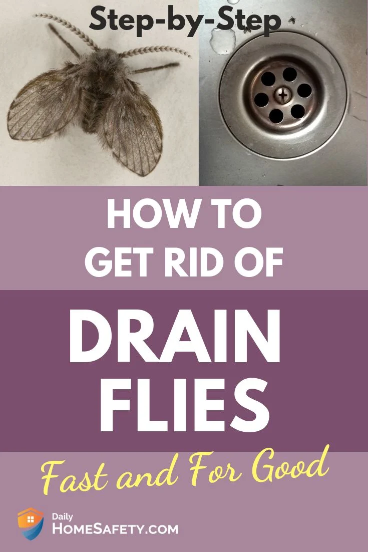 how to get rid of drain flies: Understanding the Problem