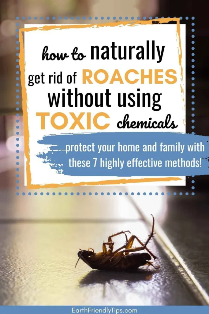 how to get rid of roaches: Natural Removal Methods