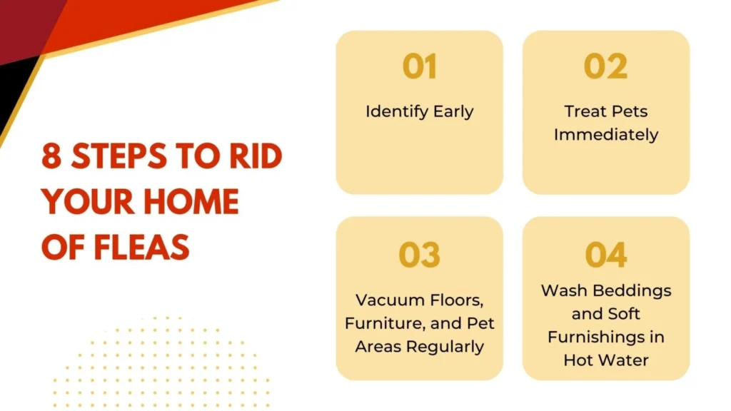 How to Prepare for Exterminator for Fleas: A Step‑by‑Step Checklist