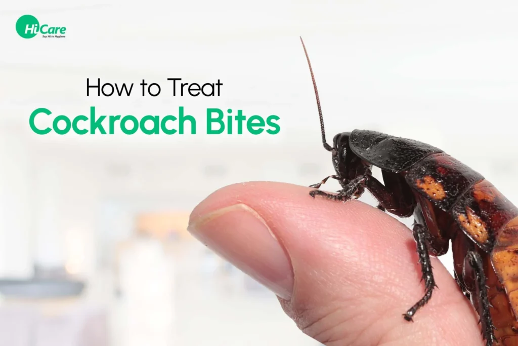 How to Remove Cockroach Bite: Understanding the Cause