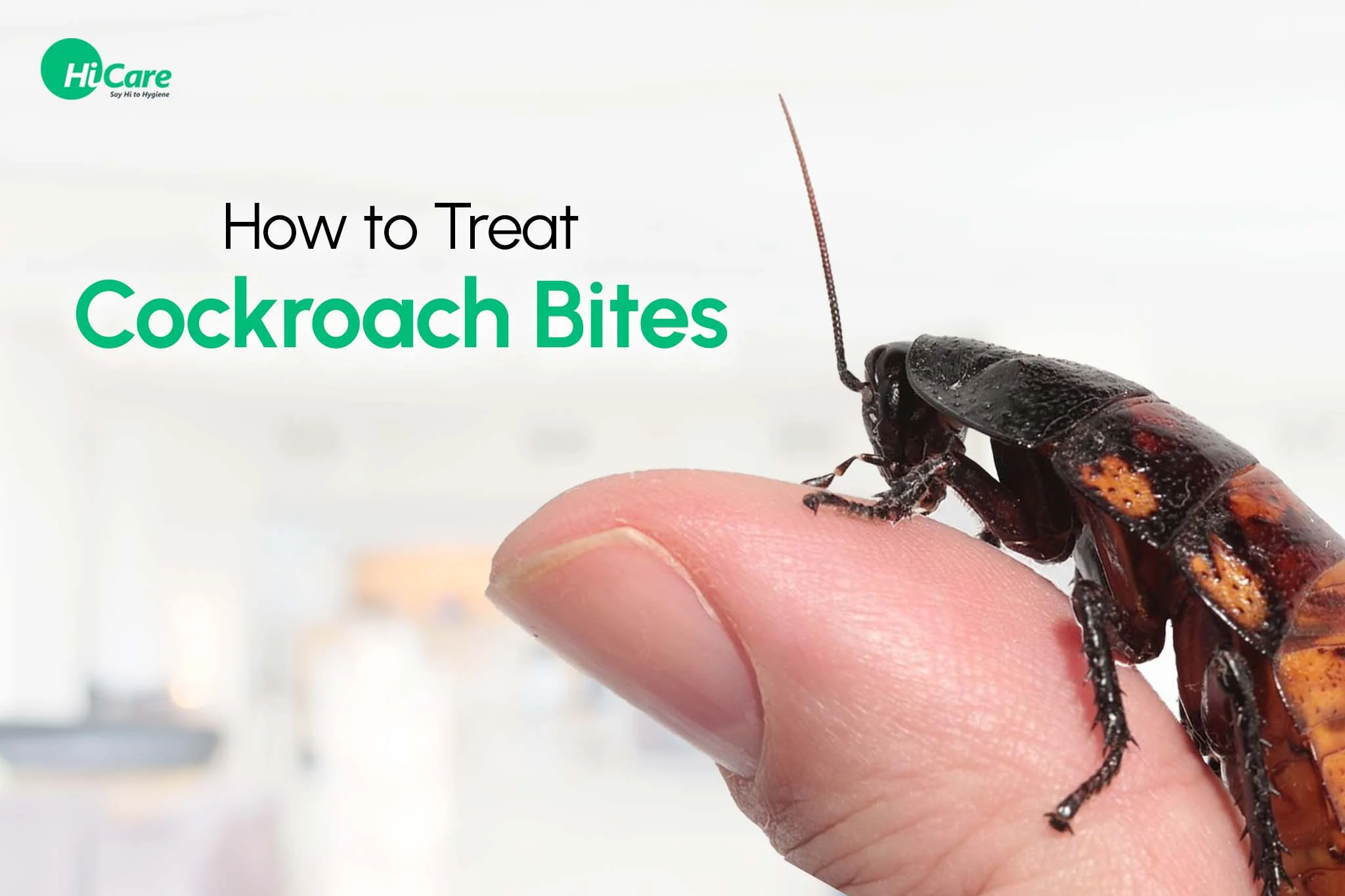How to Remove Cockroach Bite: Understanding the Cause