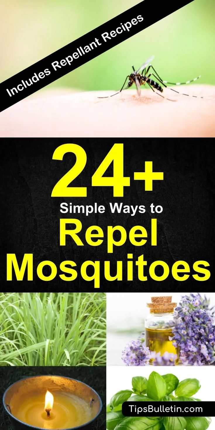 how to repel mosquitoes: Understanding Why They Invade Your Home