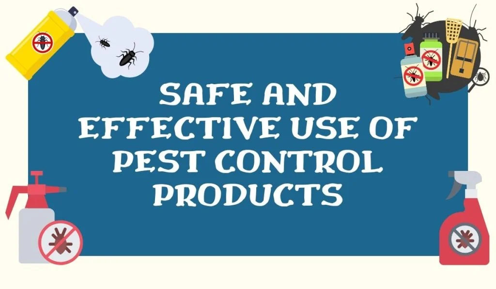 Key signs that you need pest control bardmoor