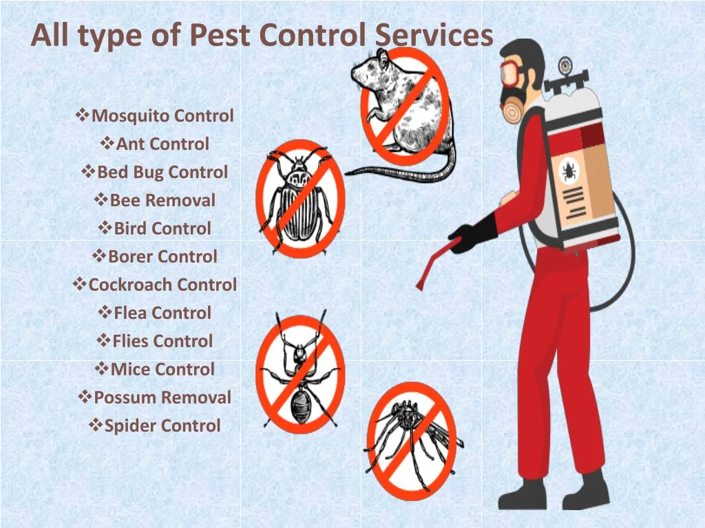 Key Types of Pest Control Jobs