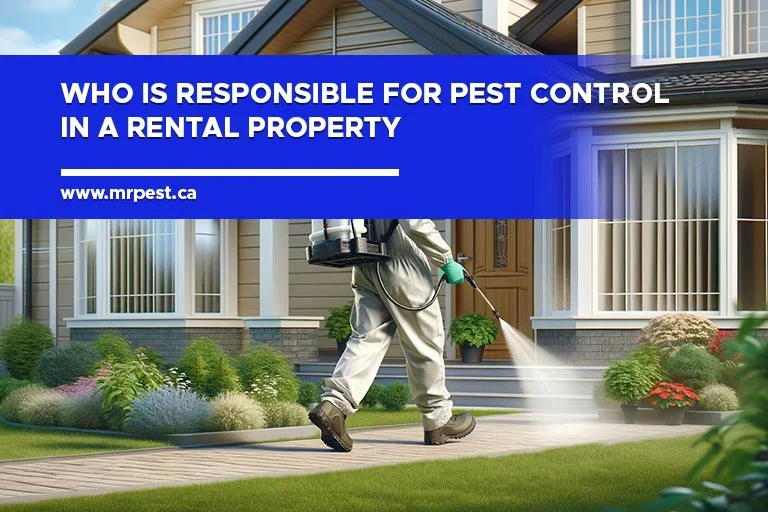 Legal Foundations: Determining Whose Responsibility Is Pest Control in a Rental Property