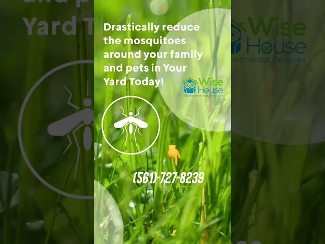 Mosquito Control Boynton Beach: Understanding the Problem