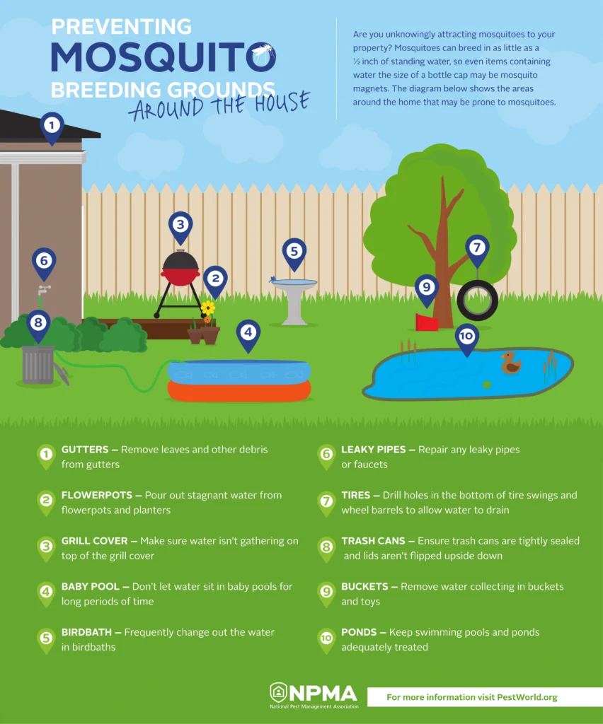 mosquito control east lake: Why These Pests Thrive in Your Neighborhood