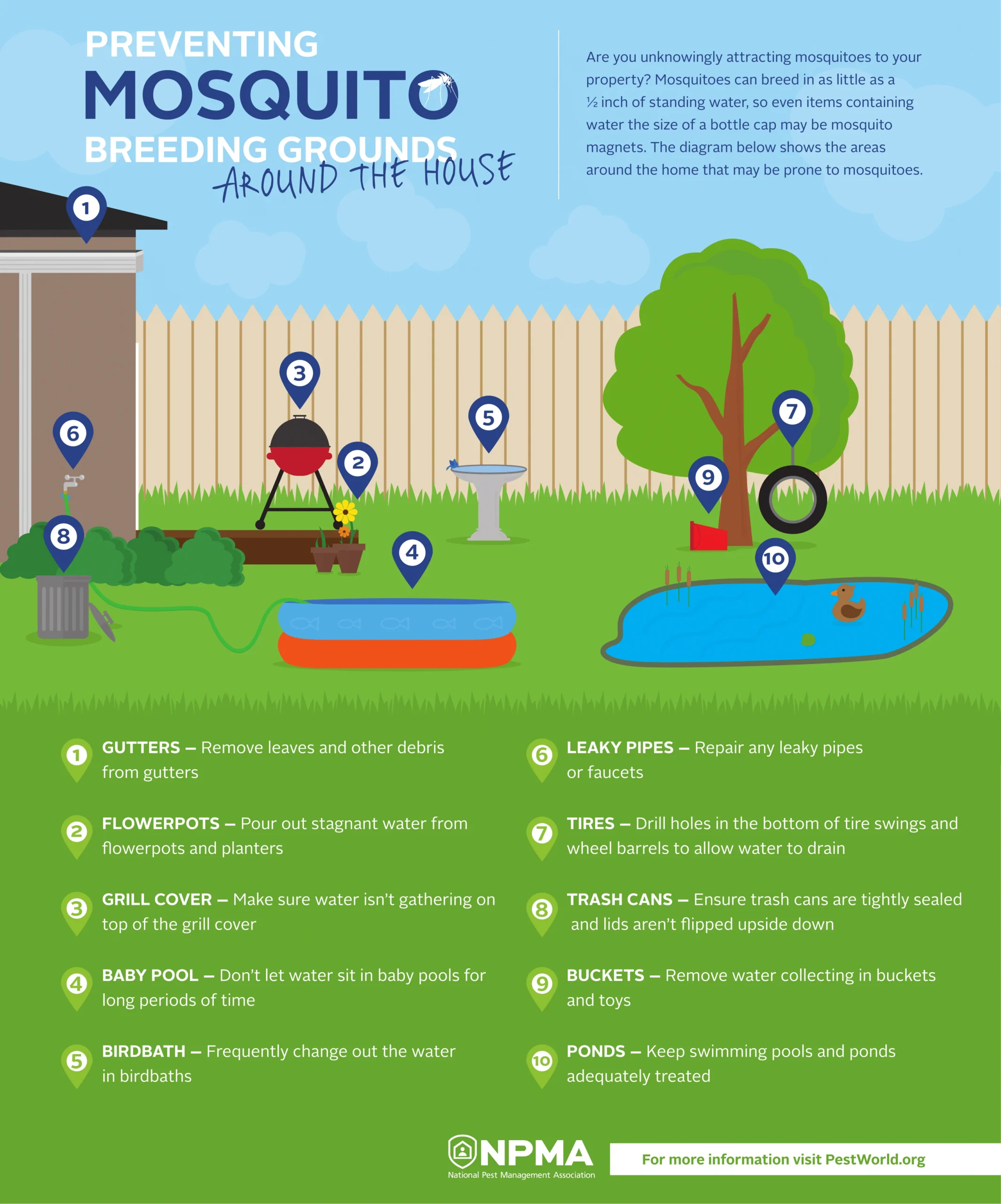 mosquito control east lake: Why These Pests Thrive in Your Neighborhood