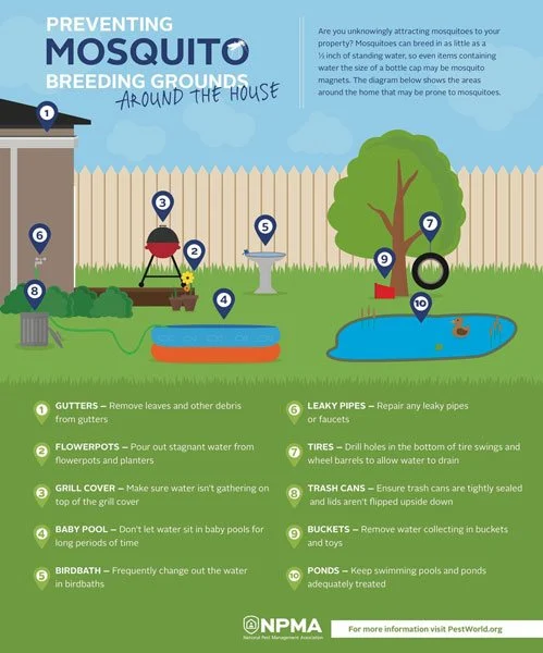 mosquito control hypoluxo: Why Mosquitoes Thrive in Your Yard