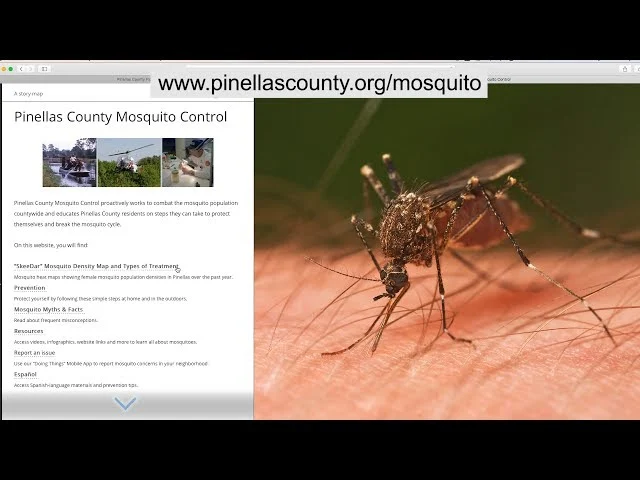 mosquito control oldsmar: Why Mosquitoes Thrive in This Area