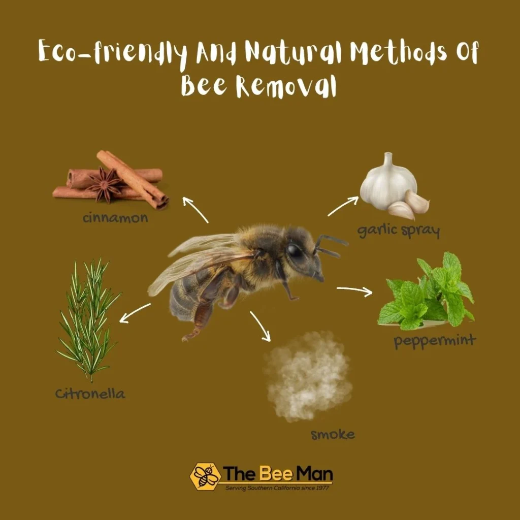 Natural and Humane Removal Methods