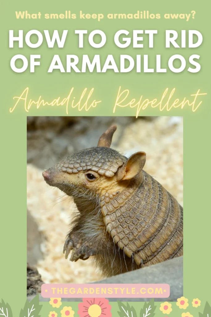 Natural Armadillo Removal Methods