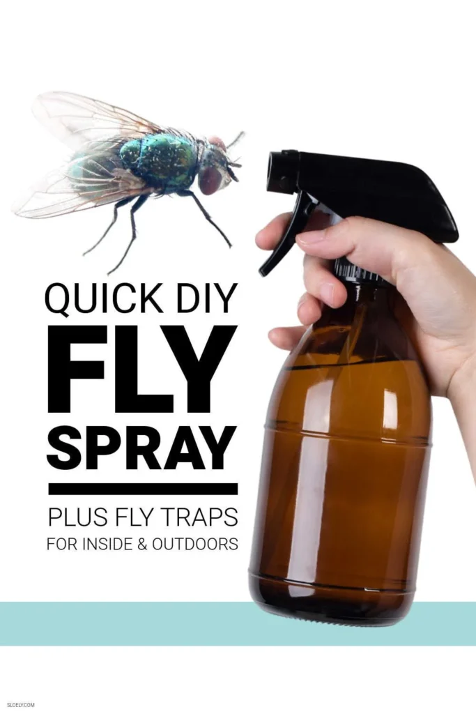 Natural Fly Control Methods