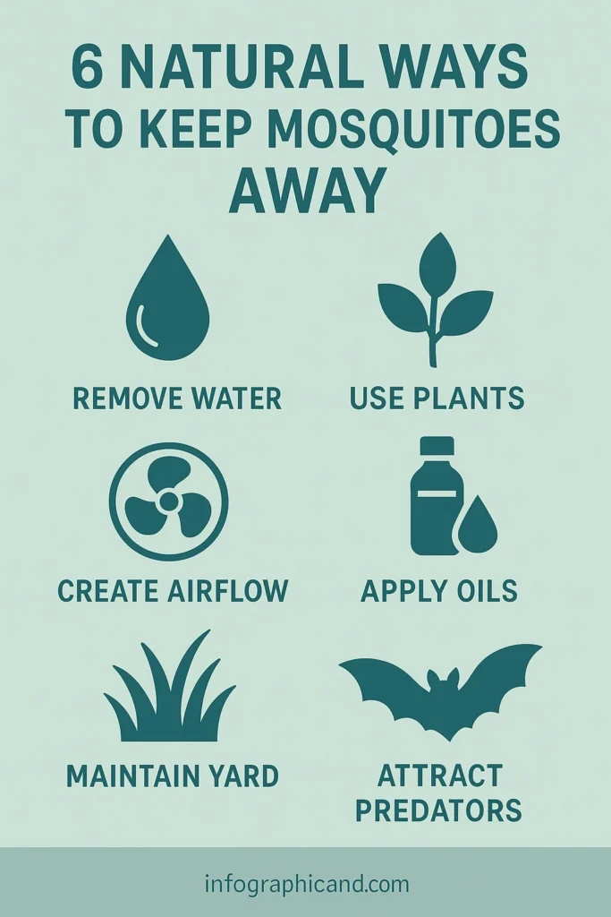 Natural Mosquito Control Methods for Tampa Homeowners