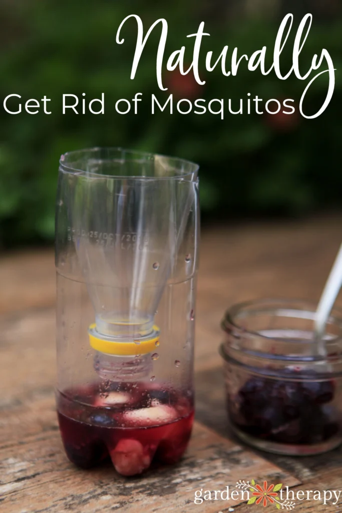 Natural Mosquito Control Riviera Beach: DIY Options