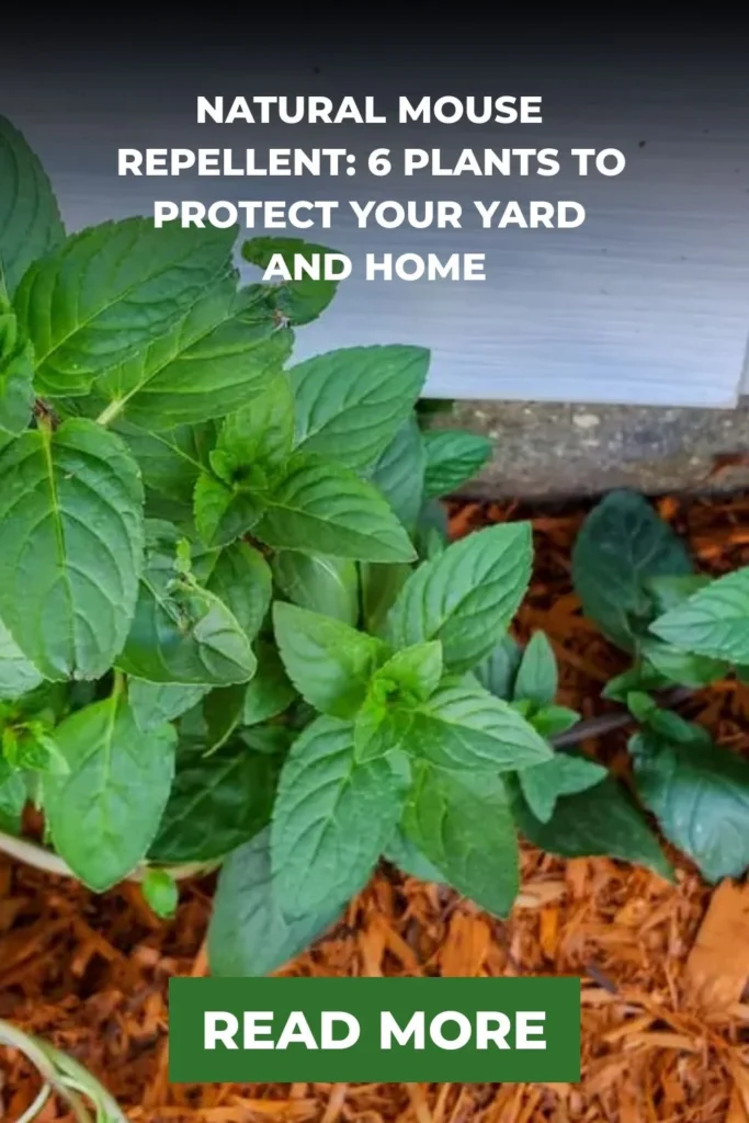 Natural mouse control methods