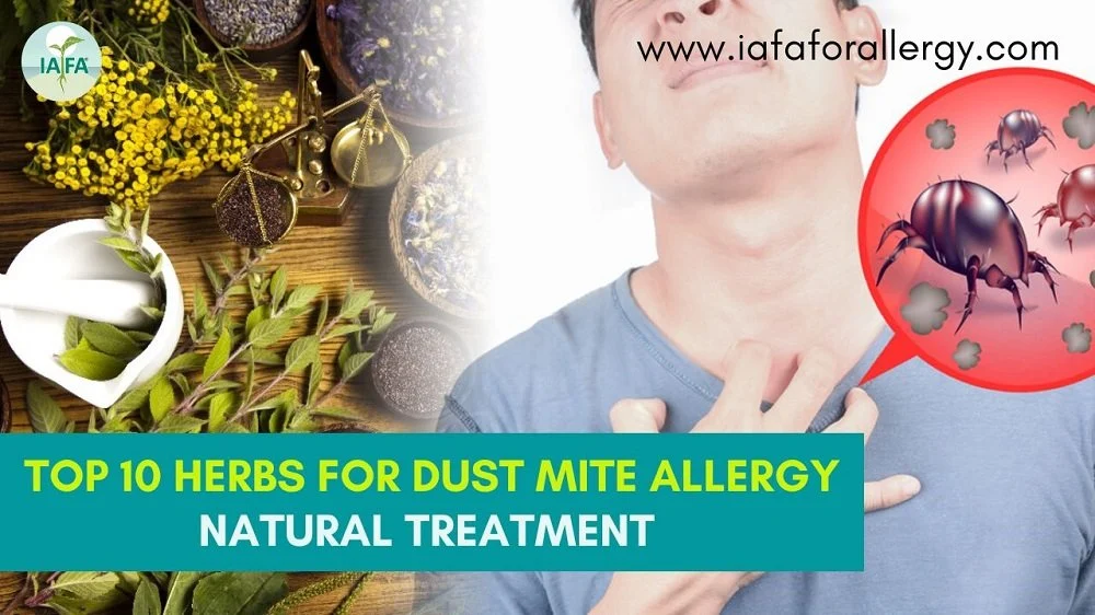 Natural Remedies for Mite Bites on Humans
