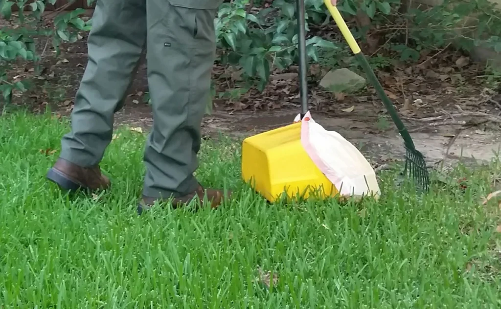 Natural Removal Methods for Backyard Animal Waste