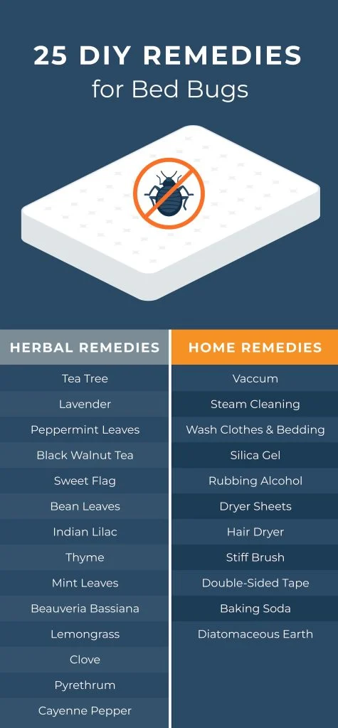 Natural removal methods for bed bug treatment St Petersburg