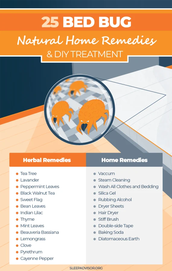 Natural Removal Methods for Bed Bugs