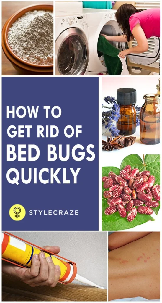 Natural Removal Methods for Bed Bugs