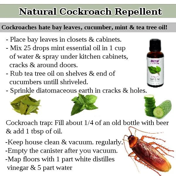 Natural Removal Methods for Cockroach Bite Irritation