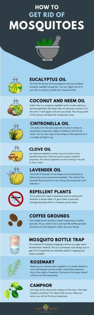 Natural Removal Methods for Mosquito Control Greenacres