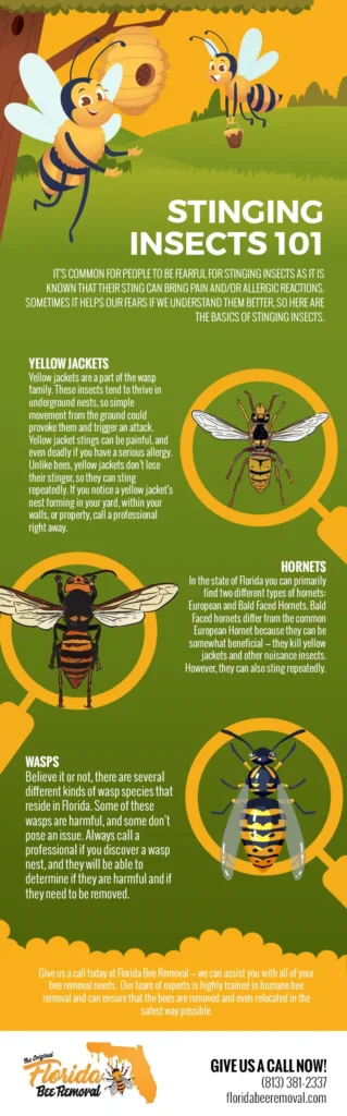 Natural Removal Methods for Stinging Insects