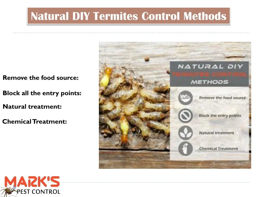 Natural Removal Methods for Termite Control Elfers