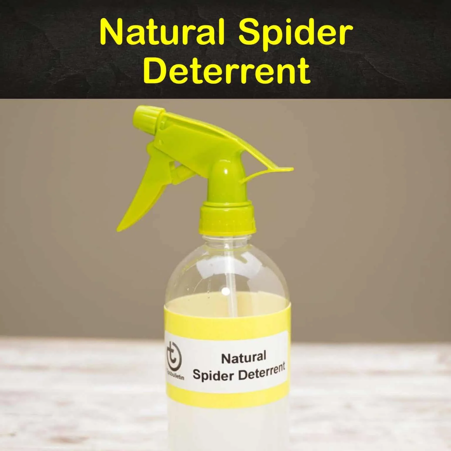 Natural Spider Deterrents: Why They Work