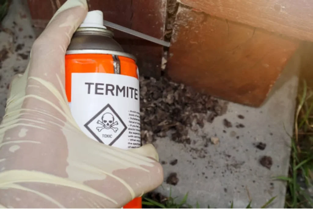 Natural Termite Control Bardmoor Options